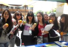 Beca Alimentación Educación Superior 2018