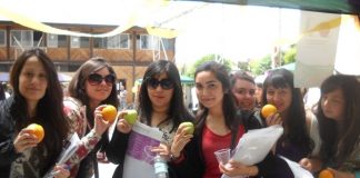 Beca Alimentación Educación Superior 2018