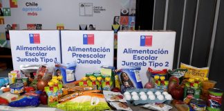 Canastas-junaeb-2020