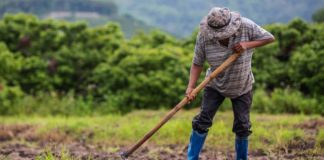 chileagricola-cursos