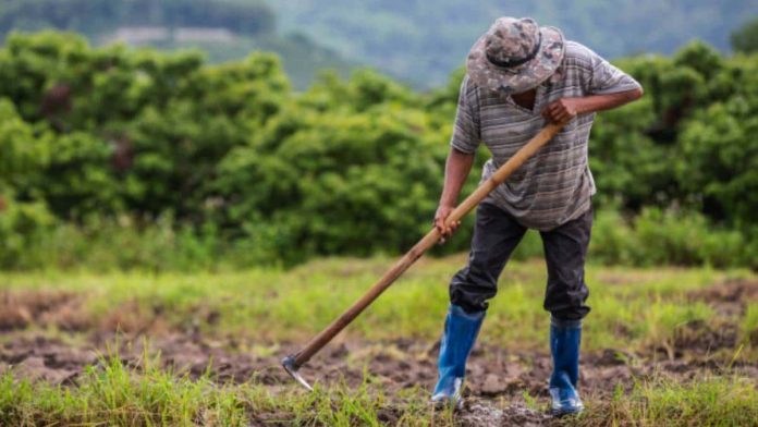 chileagricola-cursos chileagricola-cursos