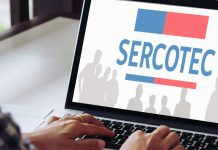 Capacítate Gratis: Conoce las 3 Plataformas de Talleres y Cursos Gratuitos de SERCOTEC plataformas-sercotec