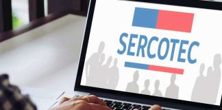 Capacítate Gratis: Conoce las 3 Plataformas de Talleres y Cursos Gratuitos de SERCOTEC plataformas-sercotec